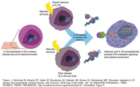 Mechanism of Epigenetic Regulation in Immunity.